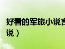 好看的軍旅小說言情女主軍人（好看的軍旅小說）