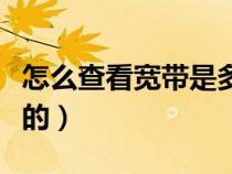 怎么查看寬帶是多少兆的（怎么看寬帶是幾兆的）