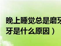 晚上睡覺總是磨牙是什么原因（成年人睡覺磨牙是什么原因）