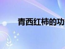 青西紅柿的功效和作用（青西紅柿）