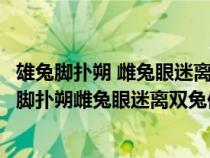 雄兔腳撲朔 雌兔眼迷離 雙兔傍地走 安能辨我是雄雌?（雄兔腳撲朔雌兔眼迷離雙兔傍地走安能辨我是雄雌）