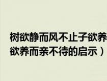 樹欲靜而風不止子欲養(yǎng)而親不待的感悟（樹欲靜而風不止子欲養(yǎng)而親不待的啟示）