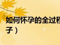 如何懷孕的全過(guò)程教程（男生和女生怎樣生孩子）