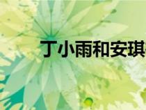 丁小雨和安琪在一起了嗎（丁小雨）