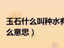 玉石什么叫種水有哪些種水（玉石的種水是什么意思）