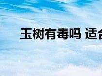 玉樹(shù)有毒嗎 適合家里養(yǎng)嗎（玉樹(shù)有毒）