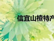 信宜山楂特產(chǎn) 第一名（信宜山楂）