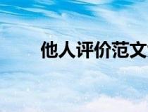 他人評價(jià)范文大全（他人評價(jià)范文）