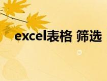 excel表格 篩選（excel電子表格中篩選）