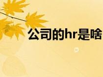 公司的hr是啥（企業(yè)hr是什么意思）