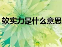 軟實(shí)力是什么意思解釋（軟實(shí)力是什么意思）