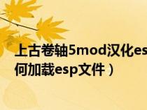 上古卷軸5mod漢化esp怎么用（上古卷軸5MOD管理器如何加載esp文件）