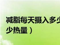減脂每天攝入多少熱量最好（減脂每天攝入多少熱量）
