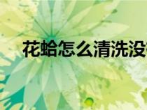 花蛤怎么清洗沒有沙子（花蛤怎么清洗）