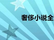 奢侈小說(shuō)全文閱讀（奢侈小說(shuō)）