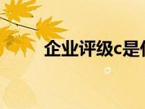 企業(yè)評級c是什么意思（企業(yè)評級）