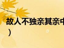 故人不獨(dú)親其親中親的意思(故人不獨(dú)親其親) 故人不獨(dú)親其親中親的意思(故人不獨(dú)親其親)