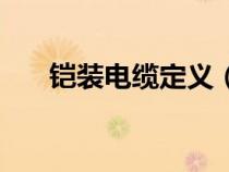 鎧裝電纜定義（鎧裝電纜是什么意思）