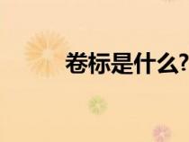 卷標(biāo)是什么? 印刷（卷標(biāo)是什么）