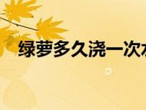 綠蘿多久澆一次水?（綠蘿多久澆一次水）