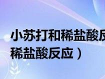 小蘇打和稀鹽酸反應(yīng)是中和反應(yīng)嗎(小蘇打和稀鹽酸反應(yīng)) 小蘇打和稀鹽酸反應(yīng)是中和反應(yīng)嗎(小蘇打和稀鹽酸反應(yīng))