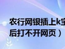 農(nóng)行網(wǎng)銀插上k寶網(wǎng)頁打不開（農(nóng)行k寶登錄后打不開網(wǎng)頁）