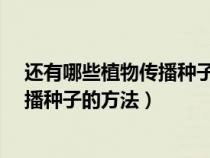 還有哪些植物傳播種子的方法?舉例說明(還有哪些植物傳播種子的方法) 還有哪些植物傳播種子的方法?舉例說明(還有哪些植物傳播種子的方法)