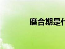 磨合期是什么意思(磨合期) 磨合期是什么意思(磨合期)