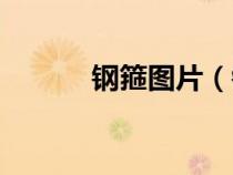 鋼箍圖片（鋼襯的作用是什么）
