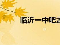 臨沂一中吧孟凡梅（臨沂一中吧）