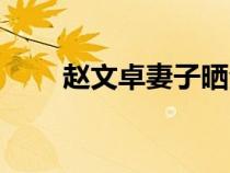趙文卓妻子曬全家福（趙文卓妻子）