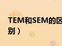 TEM和SEM的區(qū)別是什么（tem和sem的區(qū)別）