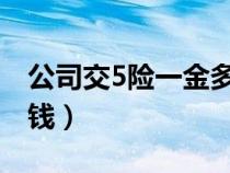 公司交5險一金多少錢（公司交五險一金多少錢）
