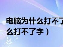 電腦為什么打不了字全是英文字母（電腦為什么打不了字）