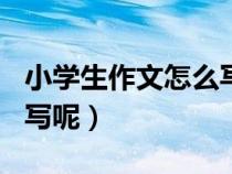 小學(xué)生作文怎么寫呢300字（小學(xué)生作文怎么寫呢）