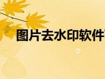 圖片去水印軟件下載（圖片去水印軟件）