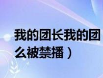我的團長我的團 禁播（我的團長我的團為什么被禁播）