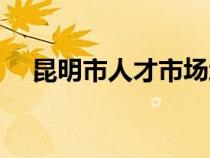昆明市人才市場地址（昆明市人才市場）