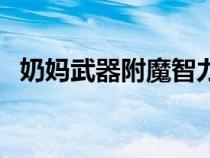 奶媽武器附魔智力卡（奶媽附魔智力寶珠）