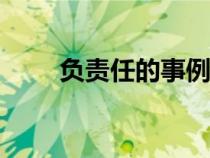 負(fù)責(zé)任的事例100（負(fù)責(zé)任的事例）
