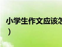 小學(xué)生作文應(yīng)該怎么寫（小學(xué)生作文怎么寫呢）