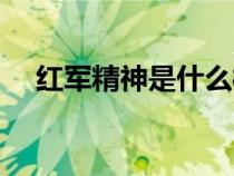 紅軍精神是什么樣的（紅軍精神是什么）