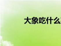 大象吃什么英語（大象吃什么）