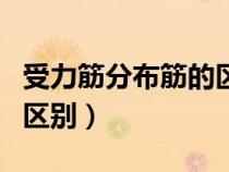 受力筋分布筋的區(qū)別圖片（受力筋和分布筋的區(qū)別）
