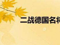二戰(zhàn)德國名將錄（二戰(zhàn)德國名將）
