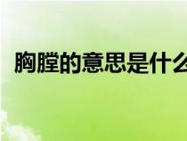 胸膛的意思是什么 標準答案（胸膛的意思）