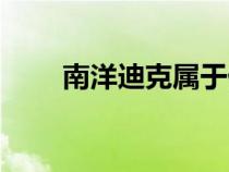 南洋迪克屬于什么檔次(南洋迪克) 南洋迪克屬于什么檔次(南洋迪克)