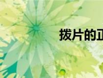 撥片的正確拿法（撥片）