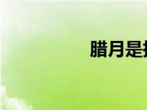 臘月是指哪個月（lay）