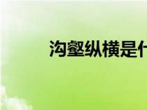 溝壑縱橫是什么地貌（溝壑縱橫）